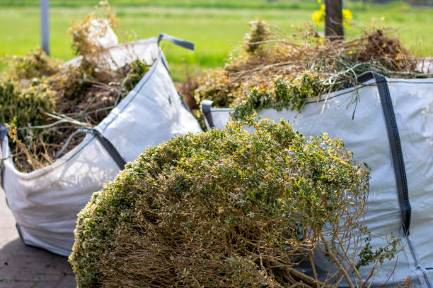 Professional Junk Removal Services in Roberts, WI